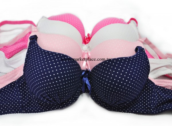 青春無敵夏日清涼美少女爆款胸罩工廠,批發,進口,代購