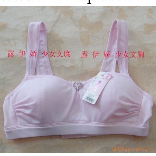 供應批發純棉高彈運動背心胸罩 薄棉運動內衣胸罩工廠,批發,進口,代購
