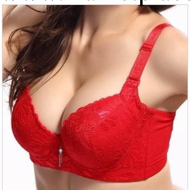 柔珠按摩 玫瑰精油內衣 磁性 花面調整型胸罩批發工廠,批發,進口,代購