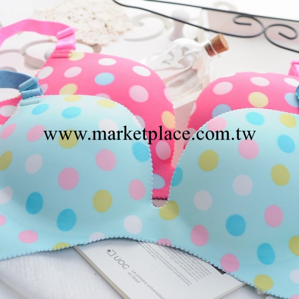 BALLNO 一片式無痕胸罩 二色圓點圖案工廠,批發,進口,代購