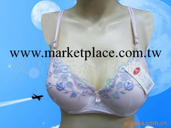 供應定型胸罩庫存胸罩定型胸罩庫存繡花胸罩庫存內衣工廠,批發,進口,代購