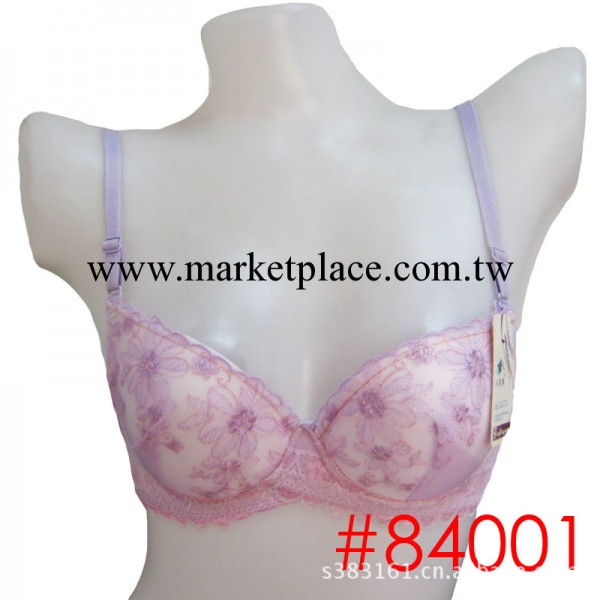 庫存女士胸罩批發花型多個款式多個胸罩批發繡花胸罩批發定做胸罩工廠,批發,進口,代購