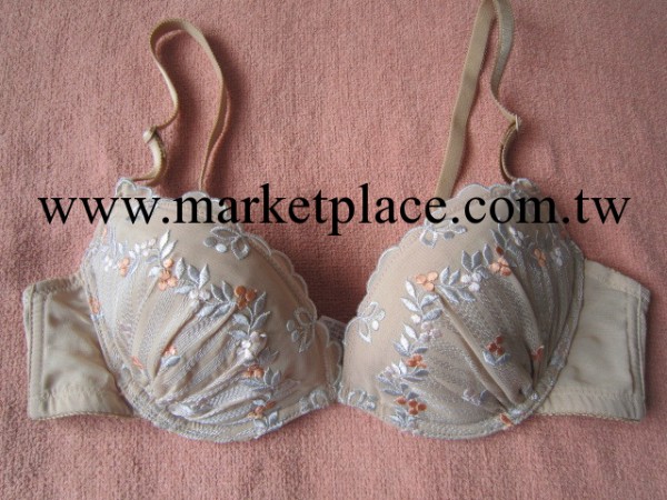 外貿內衣批發 黛an芬胸罩麥穗刺繡不認貨的繞行工廠,批發,進口,代購
