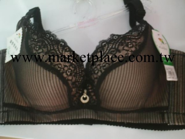 新品夏季內衣 正品美國花雨傘胸罩 6619批發聚攏胸罩工廠,批發,進口,代購