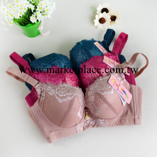 欣彩柔女士胸罩/內衣 三排扣C罩杯 性感聚攏調整型 胸罩5820工廠,批發,進口,代購