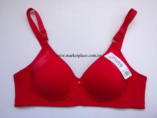 228#婦女胸罩 收副乳胸罩 調整型內衣 品牌廠傢 新款批發 收副乳工廠,批發,進口,代購