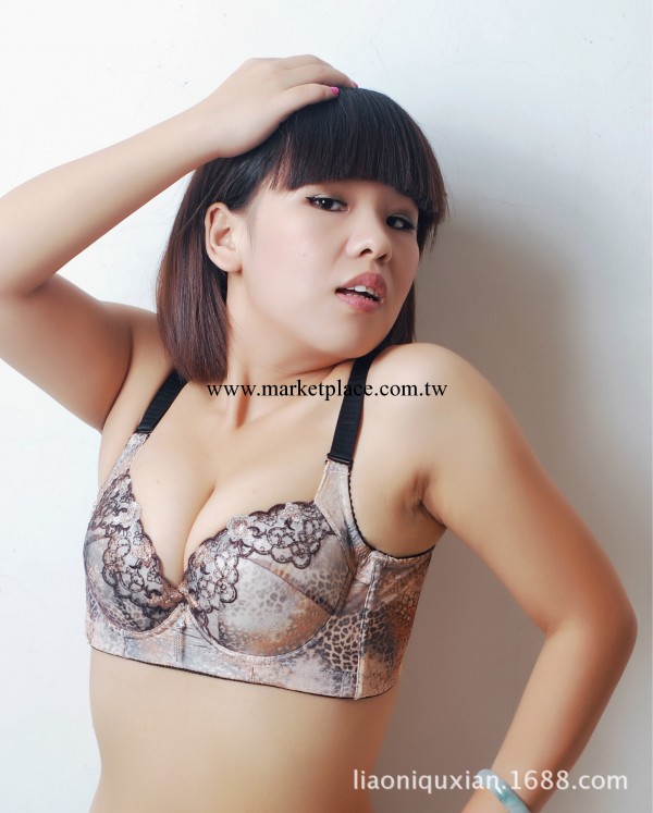 【爆款】品牌直銷 小胸聚攏側收副乳 磁性裡料健康功能型胸罩工廠,批發,進口,代購