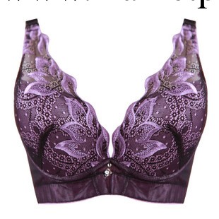 一件代發 8838浴火鳳凰胸罩調整型 火焰刺繡內衣四排扣 高檔胸罩工廠,批發,進口,代購