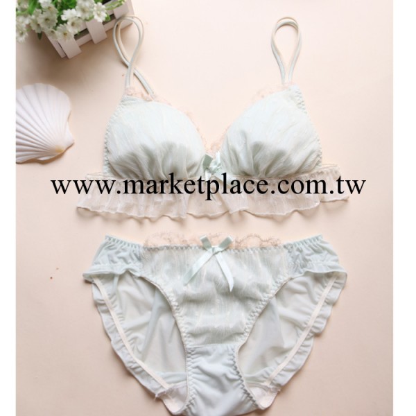 日單無鋼托女士胸罩外貿出口內衣 舒適型工廠,批發,進口,代購