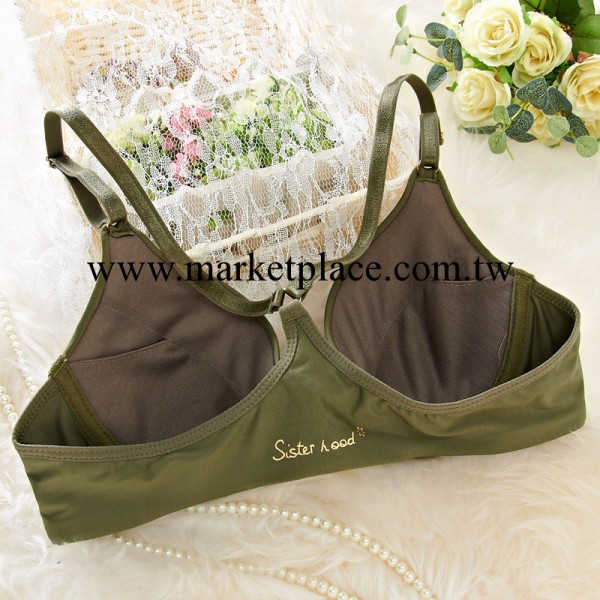 岱夫人0169薄款光面歐美風美背大碼前扣聚攏無痕內衣夏季百搭胸罩工廠,批發,進口,代購