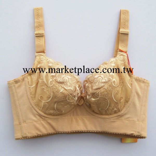 供應正品泰麗戈妮刺繡活磁調整型胸罩  批發胸罩  品牌胸罩工廠,批發,進口,代購
