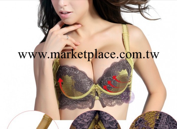 一件代發 碟變 A杯變C杯小胸 內衣 聚攏 調整型 胸罩 罩廠傢 批發工廠,批發,進口,代購