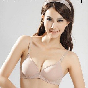 岱夫人嫦娥8888 中老年人/少女/運動無鋼圈胸罩無鋼托女士內衣工廠,批發,進口,代購