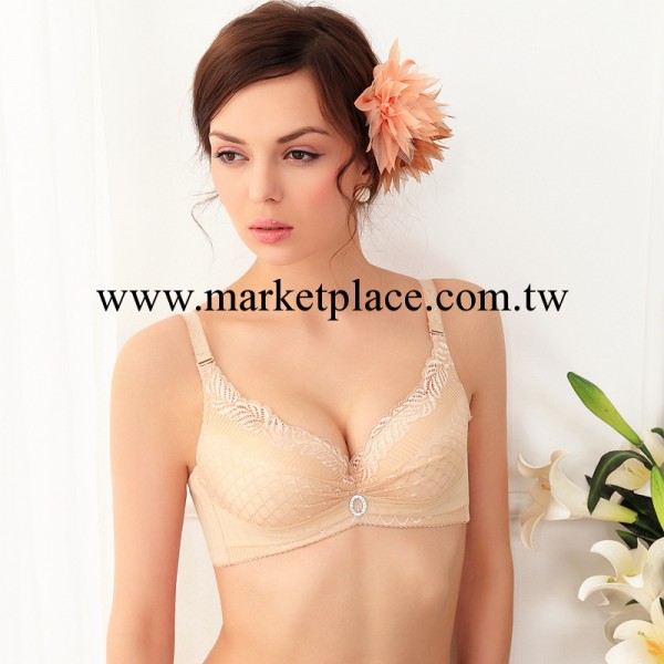 黛安芬夢醉霓秀系列18Y122調整聚攏型時尚胸罩 一件代發 免費代理工廠,批發,進口,代購