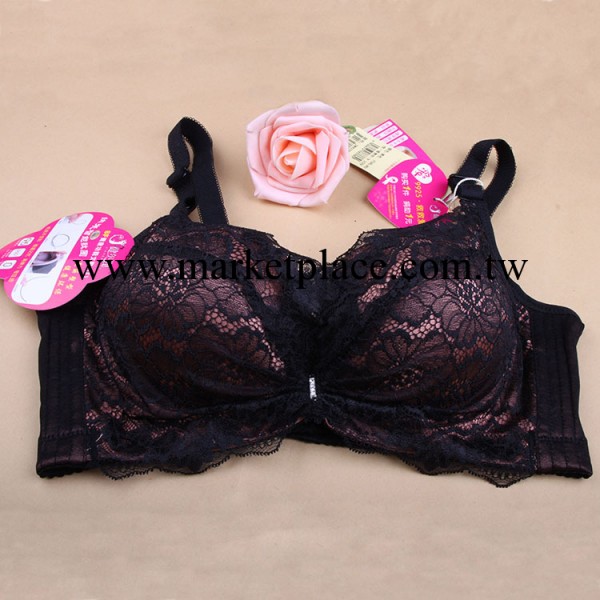 新款上市 2013秋冬復古情懷款 小胸MM最愛納米智能鈦圈胸罩批發工廠,批發,進口,代購