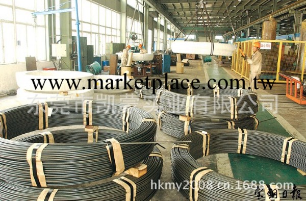 供應寶鋼2CR13冷鐓鋼盤圓，2CR13退火螺絲線材，不銹鋼線材工廠,批發,進口,代購