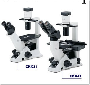 奧林巴斯臨床倒置顯微鏡CKX41工廠,批發,進口,代購