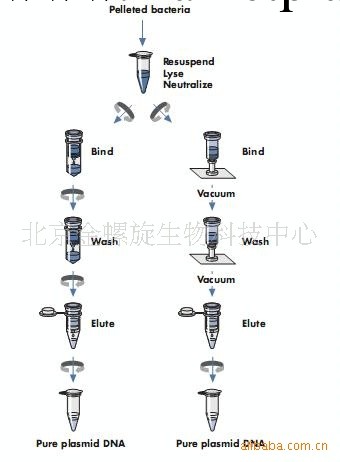 供應無基因組質粒純化試劑盒工廠,批發,進口,代購