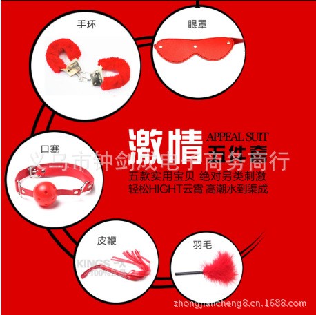 廠傢直銷情趣皮革用品激情5件套另類玩具成人用品情趣用品工廠,批發,進口,代購