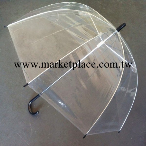 聰晟 阿波羅透明傘 透明直柄傘 可印廣告LOGO的廣告傘 創意雨傘批發・進口・工廠・代買・代購