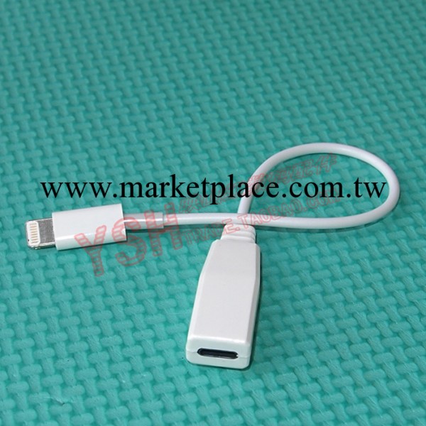 蘋果IPHONE 5代 Lighting 8PIN 公對母測試短線 IPAD MINI 測試線工廠,批發,進口,代購