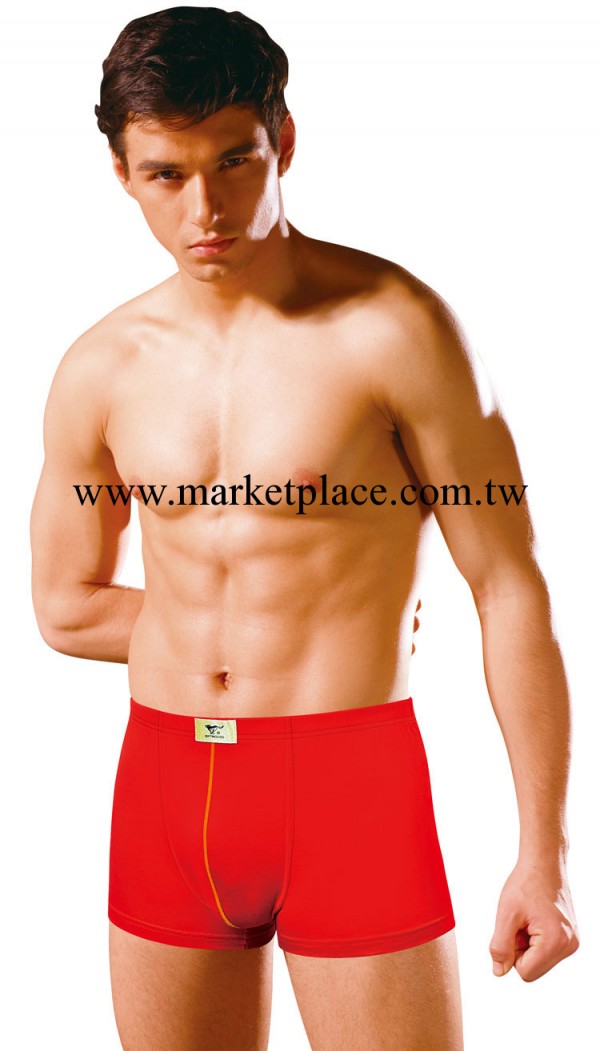 七匹狼正品 全棉內褲 鴻運 男士平角內褲 紅色 內褲批發 03616工廠,批發,進口,代購