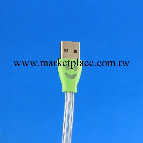 【數據線系列】蘋果5LED數據線 發光數據線 多種彩色數據線工廠,批發,進口,代購