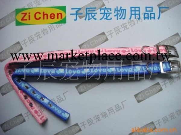 批發供應寵物用品廠傢直銷勃圈項圈泡棉項圈工廠,批發,進口,代購