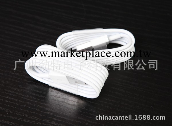 蘋果iPhone5s數據線 5代Iphone5/5C數據線 Lightning ipad mini工廠,批發,進口,代購
