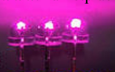 草帽長腳粉紅 led發光二極管 直插發光二極管 小功率LED燈珠批發・進口・工廠・代買・代購