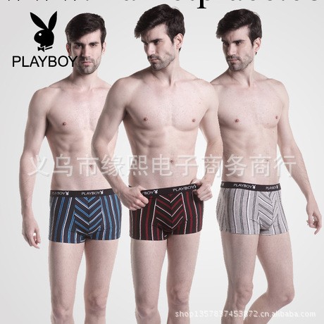 2013淘寶熱賣正品花花公子內褲男5073純棉條紋男士平角短褲批零工廠,批發,進口,代購