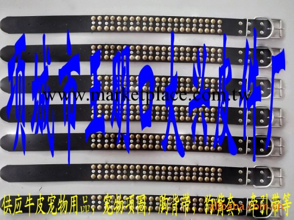 廠傢直銷 寵物用品批發 寵物牽引帶 高檔牛皮項圈工廠,批發,進口,代購