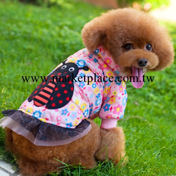 七星瓢蟲 德豐寵物衣服批發秋冬狗狗衣服寵物服飾用品廠傢工廠,批發,進口,代購