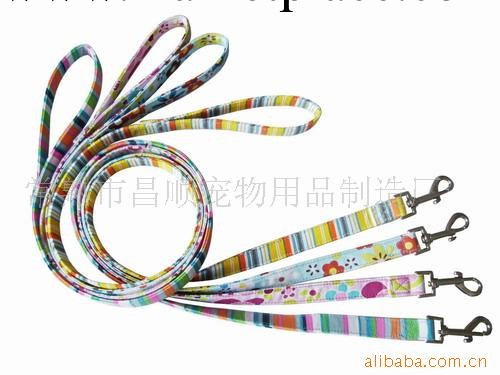 廠傢直銷純棉條紋/梅花印花牽引帶、寵物用品工廠,批發,進口,代購