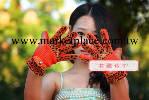 廠傢直銷 女款韓版 冬季 防寒保暖 棉手套 手套 冬 騎行手套工廠,批發,進口,代購