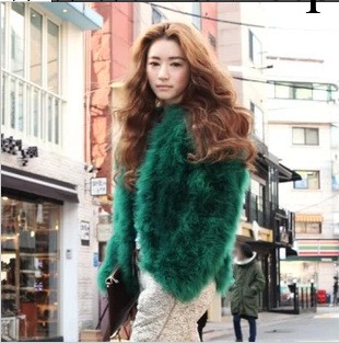 2013秋冬新款女士皮草外套短款皮草大衣皮草皮衣批發代理工廠,批發,進口,代購