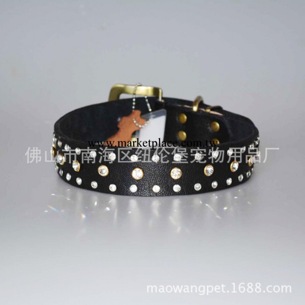 貓王寵物用品 新款狗帶 單釘帶鉆頸帶 項圈 CD147工廠,批發,進口,代購