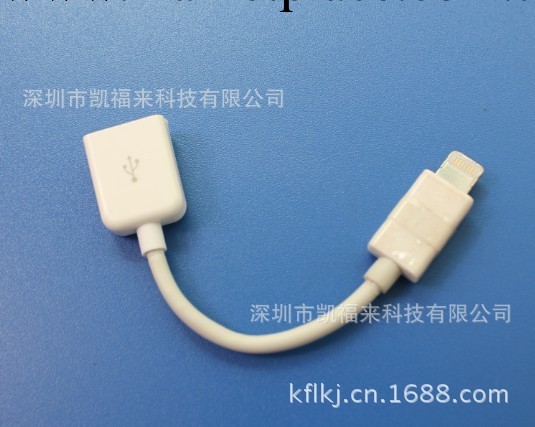 lightning male to female cable for IPHONE/IPAD/IPOD工廠,批發,進口,代購