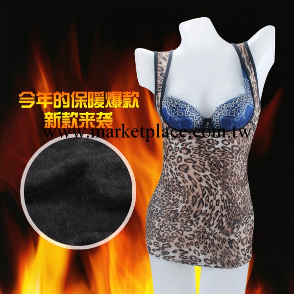 9.4訂貨會 女士加厚加絨雙層塑身保暖內衣 豹紋低胸托胸背心3312工廠,批發,進口,代購