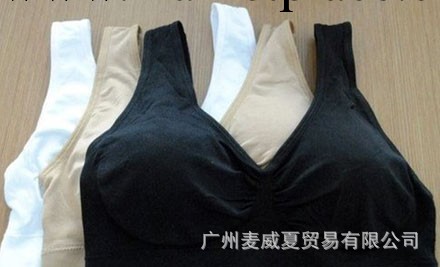 熱賣款Genie bra姐妹牌QHH BRA雙層胸墊美女標裹胸小背心胸罩工廠,批發,進口,代購