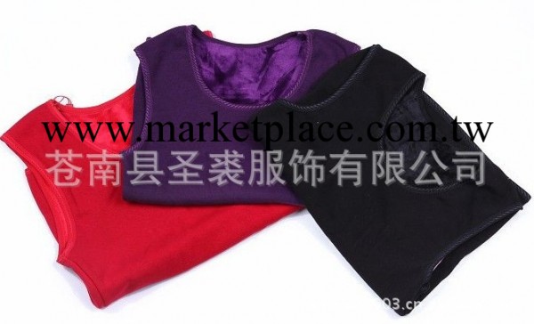 2014新款保暖背心，保暖內衣廠傢直銷塑身抹胸加絨加厚背心工廠,批發,進口,代購