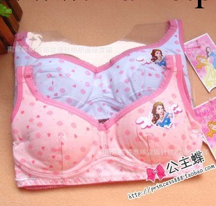 2012新款 公主少女內衣 少女胸罩 學生成長背心工廠,批發,進口,代購