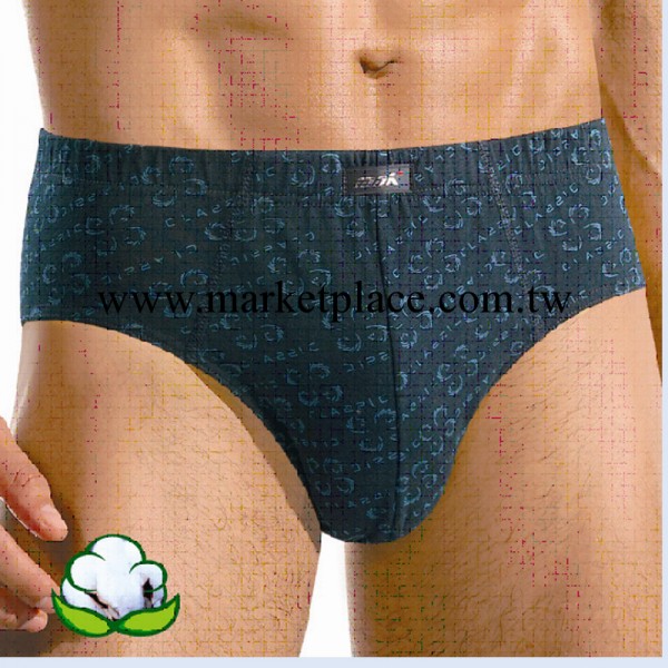 【做工精良】大量批發正品莎奴亞內褲 男士精品時尚三角內褲32055工廠,批發,進口,代購