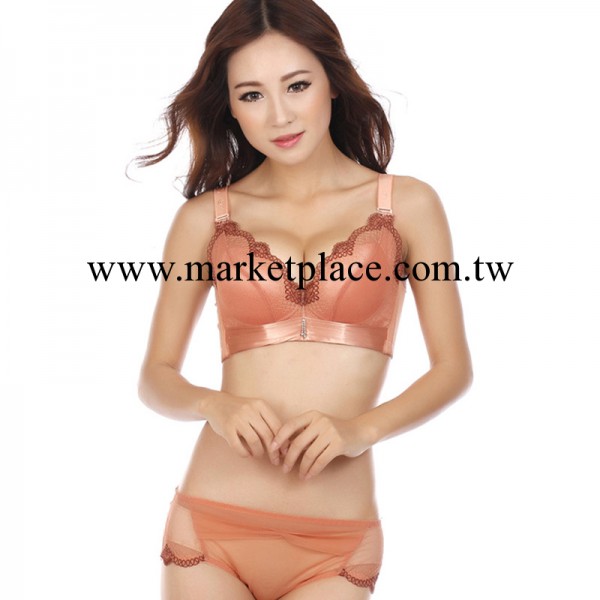 黛安芬 秋冬新款 聚攏收副乳胸罩套裝四排三扣女士內衣T8397工廠,批發,進口,代購