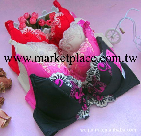 專櫃正品吉娜 高檔繡花胸罩 庫存胸罩批發 雙排扣中杯A杯胸罩工廠,批發,進口,代購