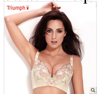 黛安芬正品 厚杯 刺繡花邊 精油按摩胸罩 小胸聚攏調整型內衣工廠,批發,進口,代購