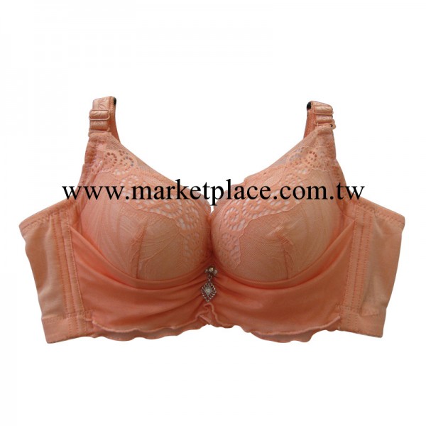 2013秋冬新款 花邊胸罩 洋氣款 調整型胸罩 莉娜嬌人8889工廠,批發,進口,代購