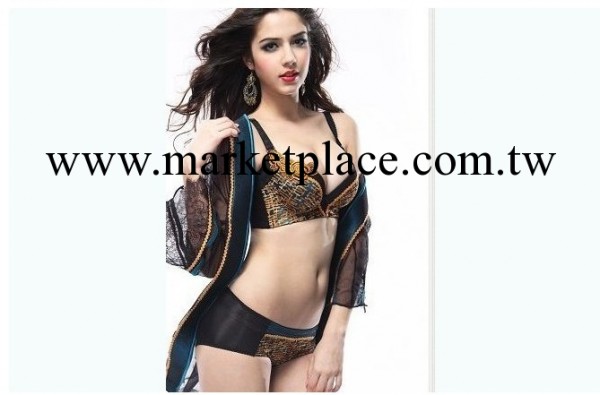 廠傢供應爆款 貴族皇後 高端調整型胸罩 經典刺繡款 奢華高貴內衣工廠,批發,進口,代購