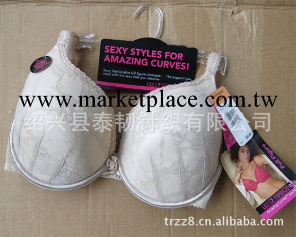 外貿歐美原單胸罩庫存出口大碼胸圍牛圍工廠,批發,進口,代購