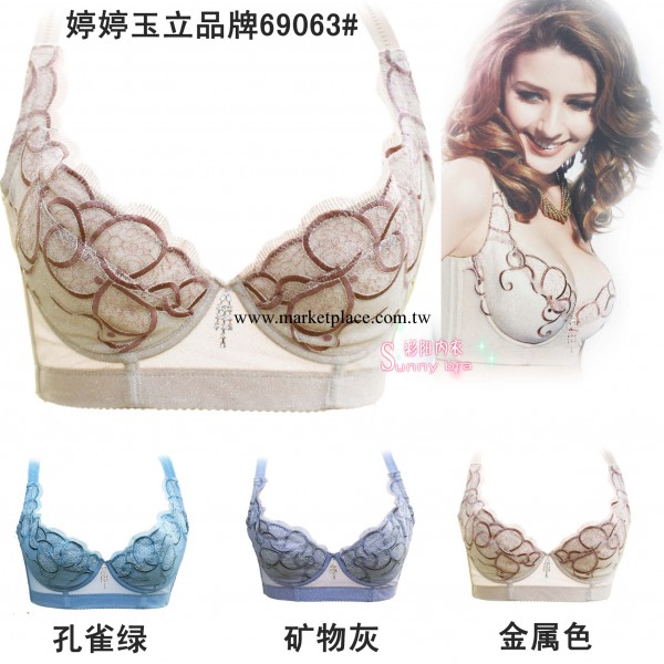 品牌正品精美刺繡膠原蛋白磁性面料C杯薄款五排扣調整型胸罩工廠,批發,進口,代購
